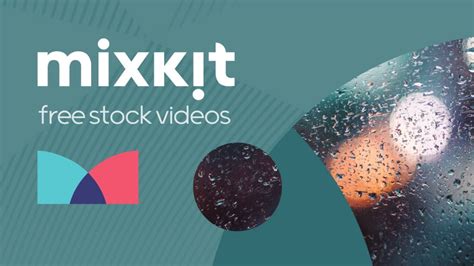 mixkit free video download|Mixkit Video